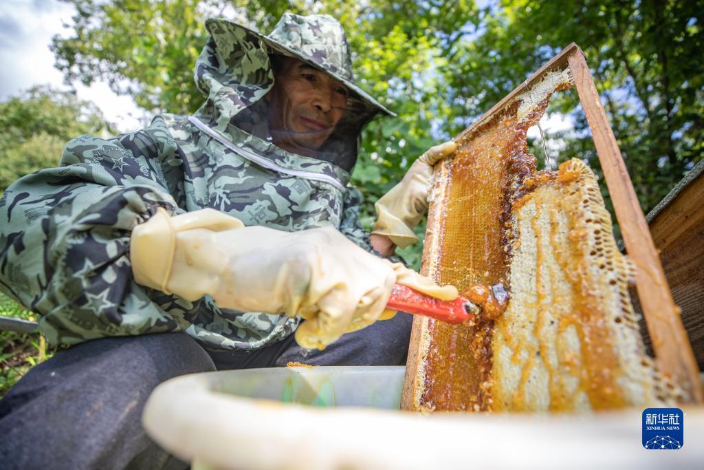 喜羊娱乐棋牌